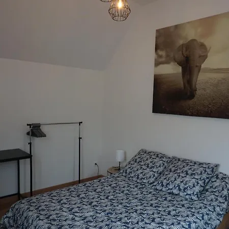 Entre Vignes Et Châteaux: Charming Family With Free Parking Holiday home Dieffenthal